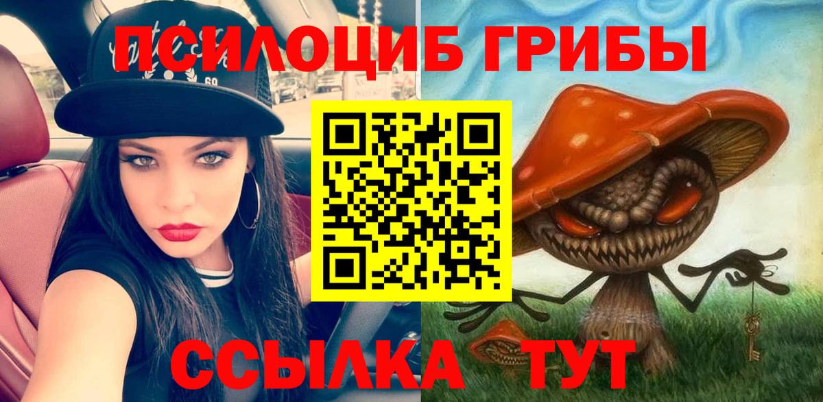 что такое   Галлюциногенные грибы прущие грибы  Вход с VPN  Усть-Илимск  Галлюциногенные грибы Psilocybine cubensis 